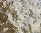A picture of step 2 of Savory Bizcochitos.