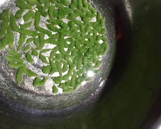 CINTA (cendol dan tape ketan) - Step 4