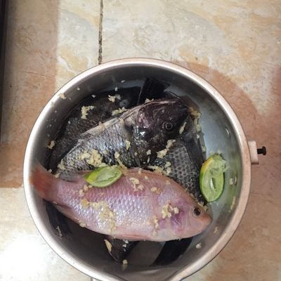 Langkah 1