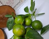 Foto langkah ke 1 dari resep Es Jeruk Sonkit Madu.