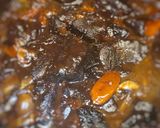 Foto del paso 15 de la receta: Boeuf bourguignon (carne estofada)