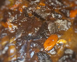 Foto del paso 15 de la receta: Boeuf bourguignon (carne estofada)