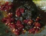 Foto langkah ke 1 dari resep 1279. Nasi Goreng Pete Sambal Ebi.