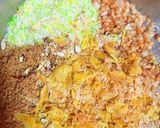 सत्तू ड्राईफ़्रूट्स कोकोनट लड्डू(sattu dryfruits coconut laddu re रेसिपी चरण 9 फोटो