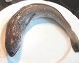 Foto del paso 1 de la receta: Pescadilla con escalivada y mongetes del ganxet