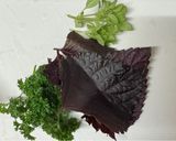 A picture of step 3 of Japanese Aubergine Salad (just boil 👏).
