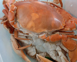 Foto langkah ke 3 dari resep Kepiting Saus Singapore.