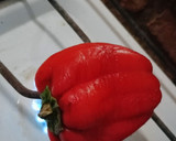 Foto del paso 1 de la receta: Morrones asados en aceite ❤️