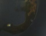 A picture of step 1 of Cucumber sago bits.