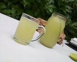 Refreshing cucumber juice recipe step 2 photo