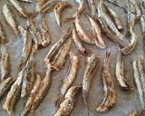 Foto del paso 2 de la receta Boquerones al horno
