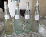 Foto del paso 14 de la receta Agua de azahar 