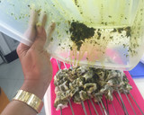 Foto del paso 8 de la receta: Pinchitos de hígado de Cordero al carbón "بلفاف"