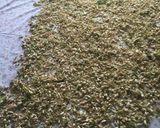 Foto del paso 2 de la receta Agua de azahar 