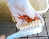 A picture of step 2 of First Attempt Success! Salt-Steamed Crayfish.