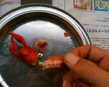 A picture of step 15 of First Attempt Success! Salt-Steamed Crayfish.