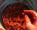 Foto langkah ke 6 dari resep Tongbaechu Kimchi (Kimchi Sawi Putih) - Resep tanpa Udang Fermentasi.
