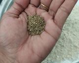 નોન ફ્રાઈડ ફ્રેશ મેથી પુરી (Non fried Methi poori Recipe in Gujarati) રેસીપી સ્ટેપ1ફોટો