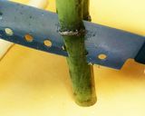 A picture of step 3 of Fresh Juice from Sugarcane.