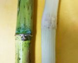 A picture of step 5 of Fresh Juice from Sugarcane.