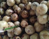 รูปขั้นตอนการทำที่ 1 ของ นำ้ส้มสายชูหมักลองกอง