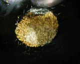 A picture of step 6 of Desi dahi chole.
