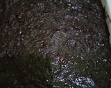 Foto langkah ke 4 dari resep Brownies Pisang Panggang.