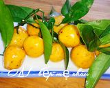 Hình bước làm 4 của món Chả quất (tắc)