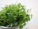 Rau càng cua xào thịt bò