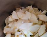 Easy Healthy Apple Pie recipe step 2 photo