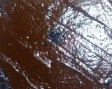 Une image de l'étape 6 de Gâteau au chocolat.