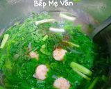 Hình bước làm 3 của món Canh rau tần ô nấu tôm tươi