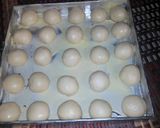 Foto langkah ke 3 dari resep Ibu Roti.