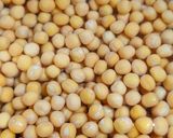 A picture of step 1 of White Matar Usal Pav.