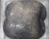 Foto langkah ke 16 dari resep Yin Yang Sourdough Bread (92% - Oven Tangkring).