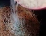 Foto del paso 2 de la receta: PILAF VEGANO (🌱)