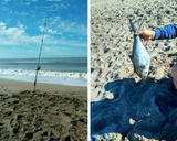 Foto del paso 1 de la receta: Palometa de mar a la parrilla (en la playa)