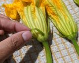 A picture of step 2 of Stuffed Pumpkin flowers with ricotta.