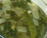 Veggie Chicken Broth Soup recipe step 2 photo