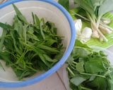 Foto langkah ke 1 dari resep Urap sunda.