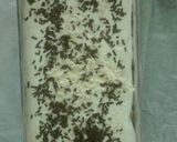 Foto langkah ke 5 dari resep Bolu panggang keju cokelat.