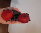 Foto del paso 1 de la receta: Kéfir de frutilla y arándanos