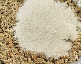 A picture of step 9 of Protein Powder with Sunflower seeds n Pumpkin seeds.