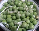 A picture of step 1 of Sprouted Peas Curry.