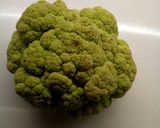 Foto del passaggio 3 della ricetta Impanata Catanese con broccoli e salsiccia