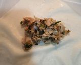 Foto langkah ke 2 dari resep Lumpia isi Tuna.