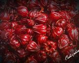 Hình bước làm 1 của món Mứt - Siro Hibiscus