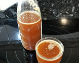 Foto del paso 4 de la receta: Zumo de semillas de gochis con infusión de ginkgo y regaliz