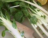 Spicy bok choy recipe step 1 photo