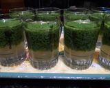 Foto langkah ke 6 dari resep Pudding Lumut.
